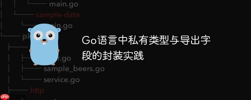 go语言中私有类型与导出字段的封装实践