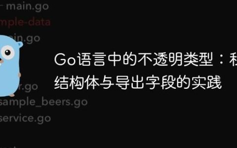 Go语言中的不透明类型：私有结构体与导出字段的实践