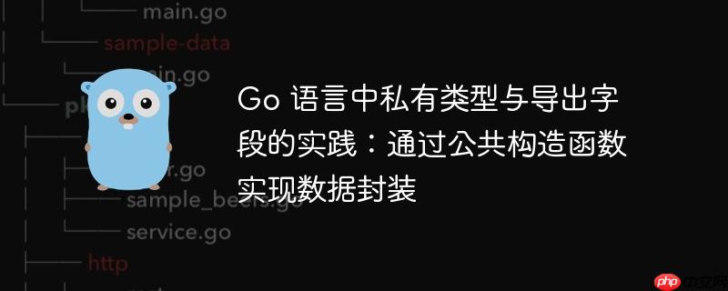 Go 语言中私有类型与导出字段的实践：通过公共构造函数实现数据封装