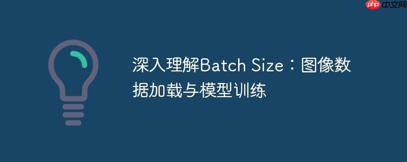 深入理解batch size:图像数据加载与模型训练