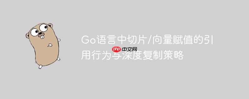 Go语言中切片/向量赋值的引用行为与深度复制策略