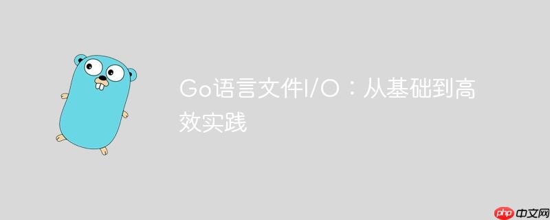Go语言文件I/O:从基础到高效实践