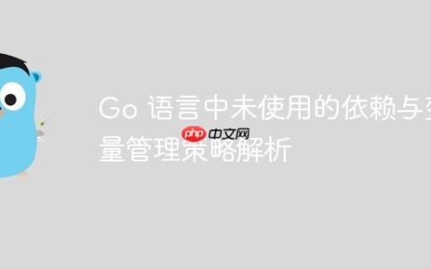Go 语言中未使用的依赖与变量管理策略解析