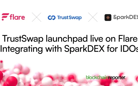 TrustSwap、Launchpad 和 SparkDEX：推动 Flare 的 DeFi 革命