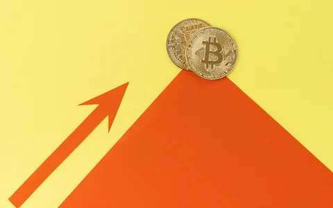 Coinbase、比特币与牛市：究竟有何关联？