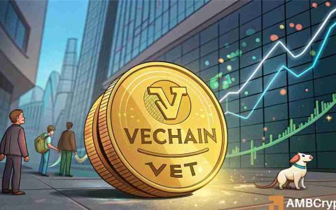 VeChain（VET）反弹：关键支撑位能否推动其进一步上涨？