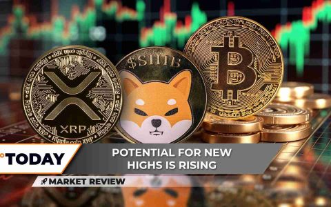 XRP、比特币和柴犬币：解读最新加密货币动向