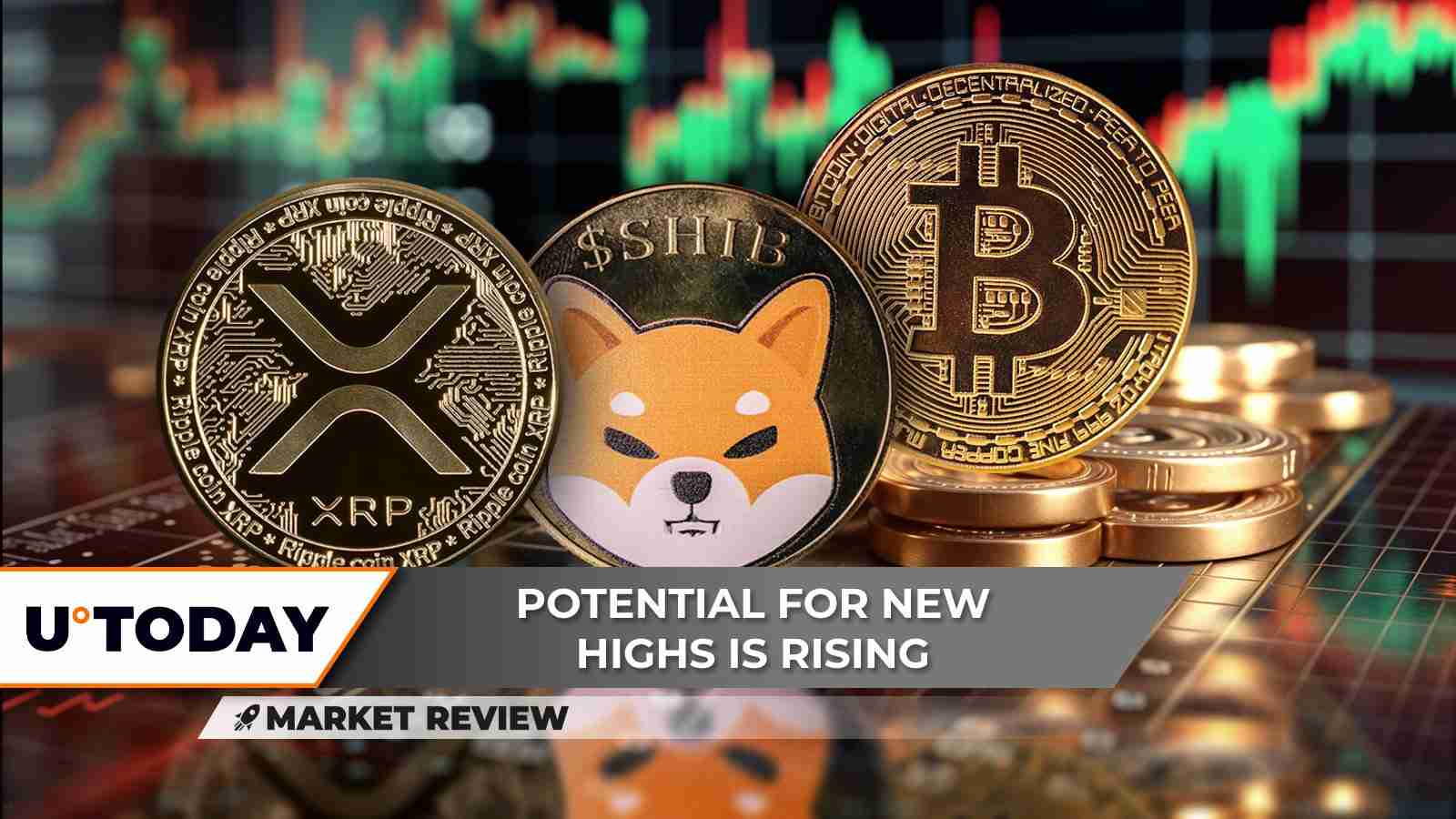 XRP、比特币和柴犬币:解读最新加密货币动向