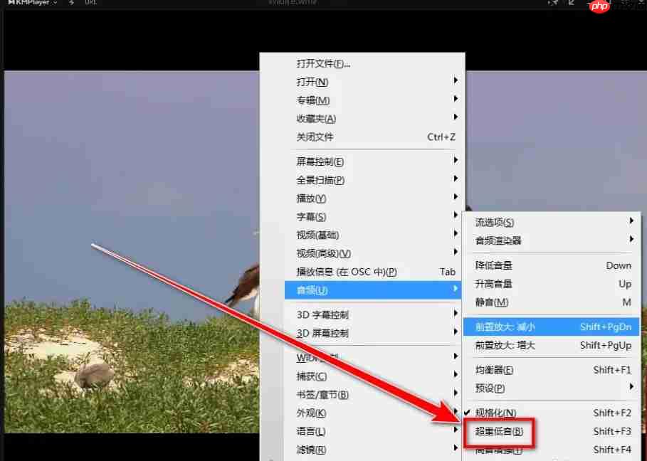 kmplayer怎么开启重低音?-kmplayer开启重低音的方法