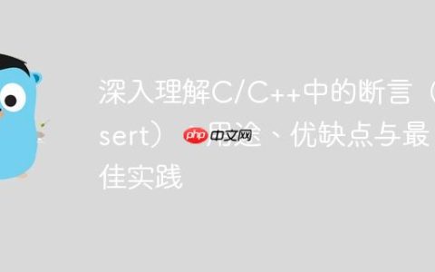 深入理解C/C++中的断言（assert）：用途、优缺点与最佳实践