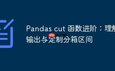 Pandas cut 函数进阶：理解输出与定制分箱区间