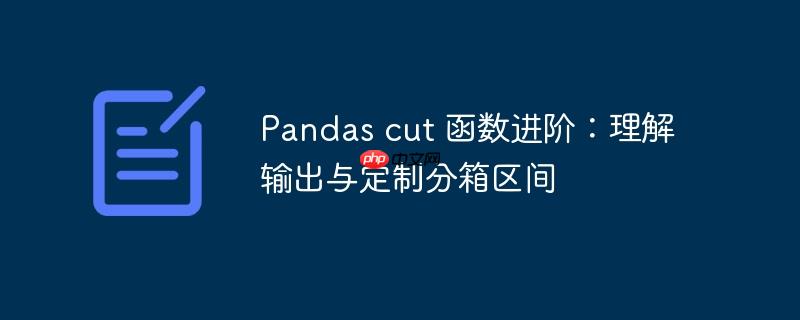 pandas cut 函数进阶:理解输出与定制分箱区间