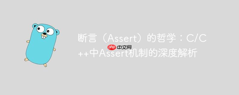 断言(Assert)的哲学:C/C++中Assert机制的深度解析