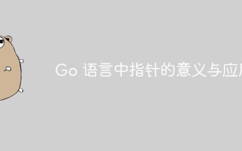 Go 语言中指针的意义与应用