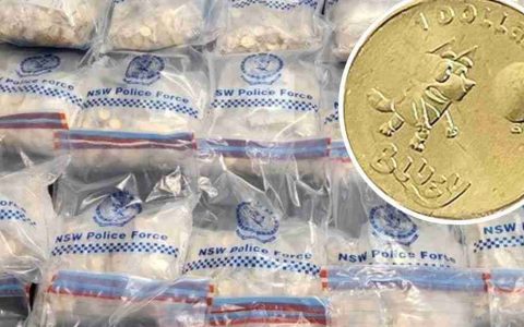 《Bluey强盗：63,000枚硬币的大劫案》