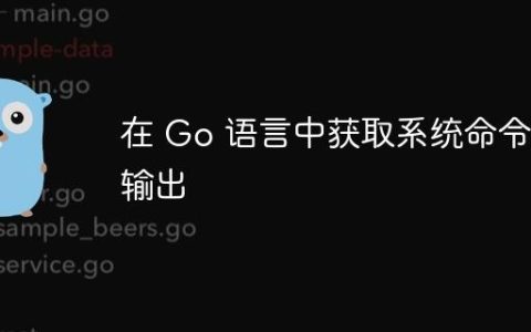 在 Go 语言中获取系统命令的输出