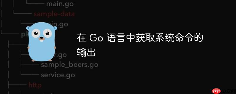 在 go 语言中获取系统命令的输出