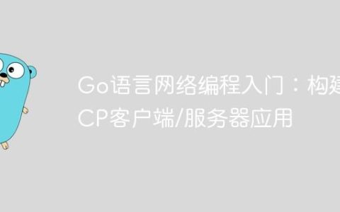 Go语言网络编程入门：构建TCP客户端/服务器应用