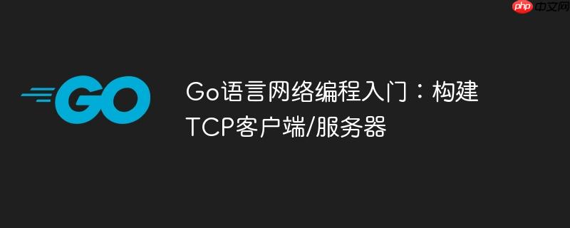 go语言网络编程入门:构建tcp客户端/服务器