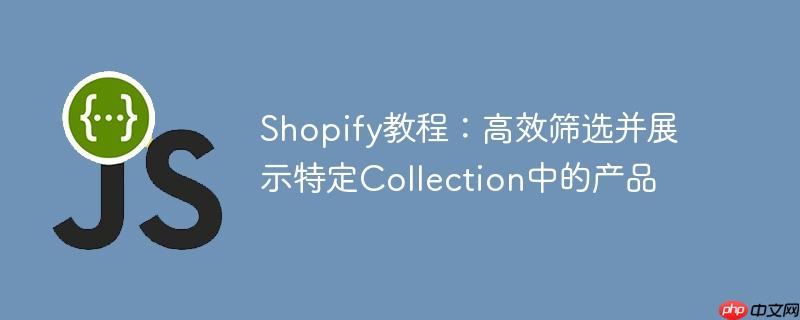 shopify教程:高效筛选并展示特定collection中的产品