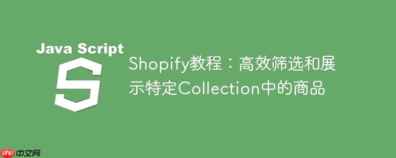 shopify教程：高效筛选和展示特定collection中的商品