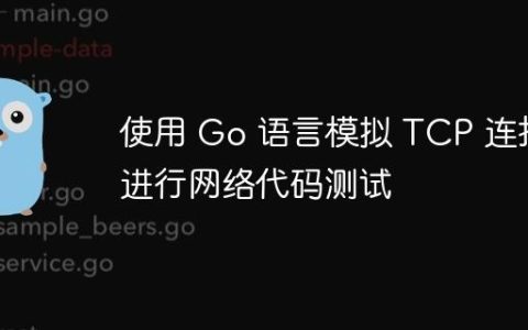 使用 Go 语言模拟 TCP 连接进行网络代码测试