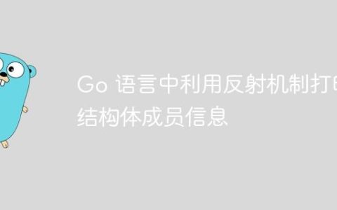 Go 语言中利用反射机制打印结构体成员信息