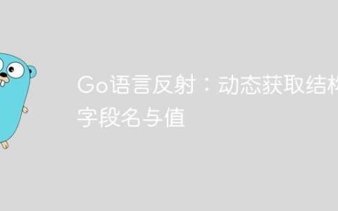 Go语言反射：动态获取结构体字段名与值