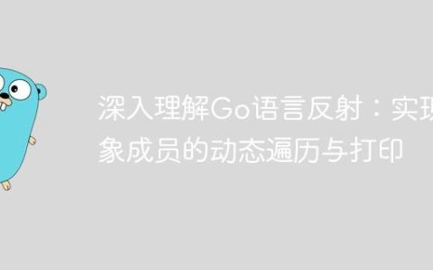 深入理解Go语言反射：实现对象成员的动态遍历与打印