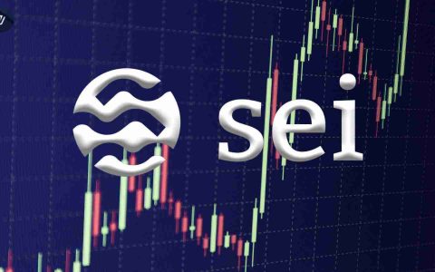 SEI关注看涨反转：机构催化剂推动潜在上涨
