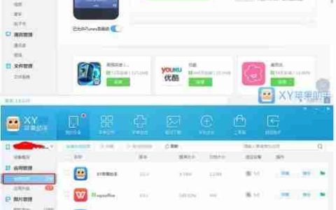 XY苹果助手备份：如何备份应用数据