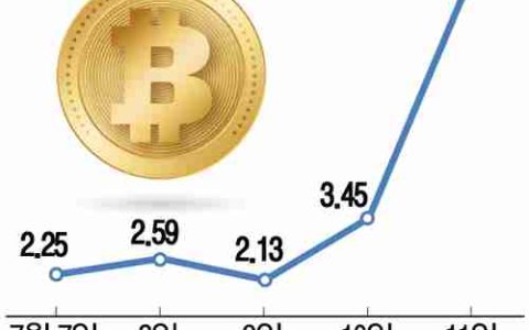 比特币价格、交易价值与历史高点：解读加密货币热潮
