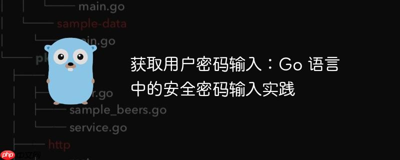 获取用户密码输入:go 语言中的安全密码输入实践