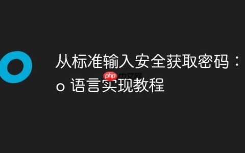 从标准输入安全获取密码：Go 语言实现教程