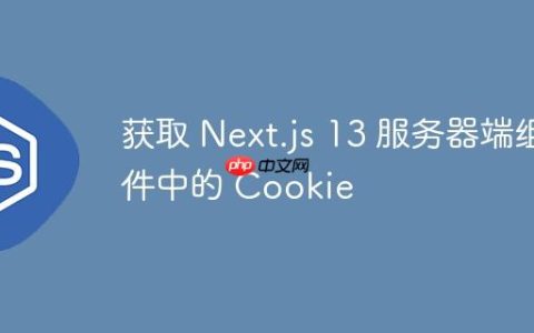 获取 Next.js 13 服务器端组件中的 Cookie