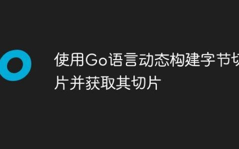 使用Go语言动态构建字节切片并获取其切片