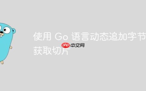 使用 Go 语言动态追加字节并获取切片