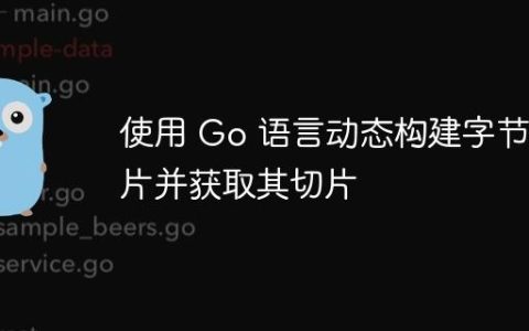 使用 Go 语言动态构建字节切片并获取其切片