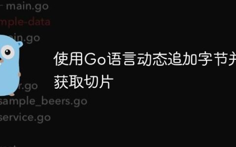 使用Go语言动态追加字节并获取切片
