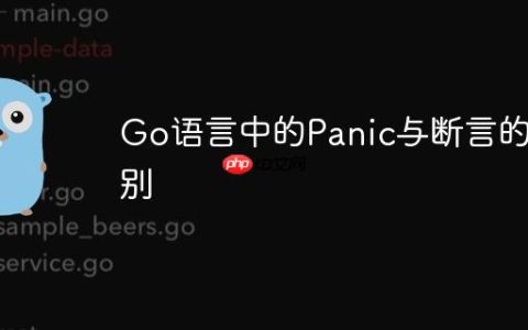 Go语言中的Panic与断言的区别