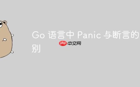 Go 语言中 Panic 与断言的区别