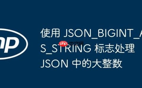 使用 JSON_BIGINT_AS_STRING 标志处理 JSON 中的大整数