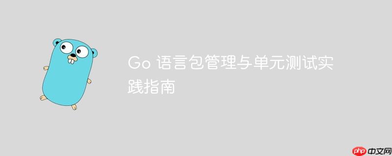 go 语言包管理与单元测试实践指南