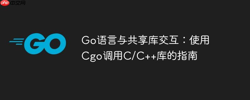 go语言与共享库交互:使用cgo调用c/c++库的指南