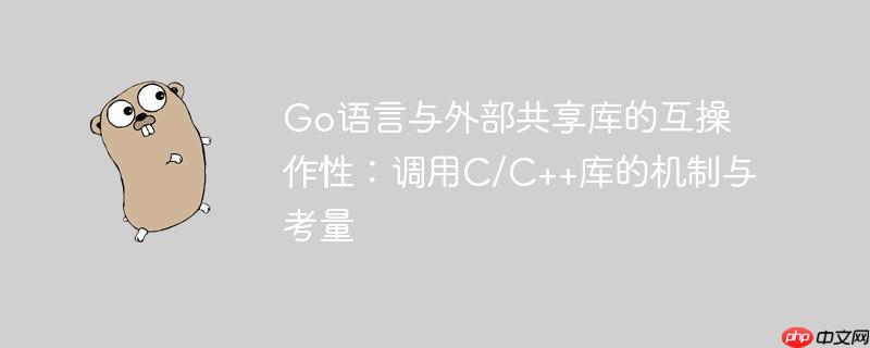 Go语言与外部共享库的互操作性:调用C/C++库的机制与考量