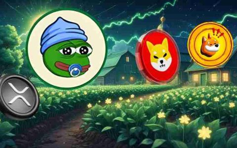 Ripple XRP、Shiba Inu、BONK 代币：哪些热门，哪些不热门？