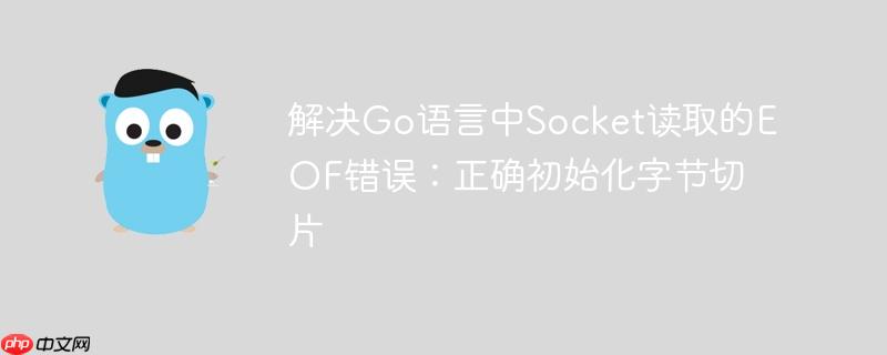 解决Go语言中Socket读取的EOF错误:正确初始化字节切片