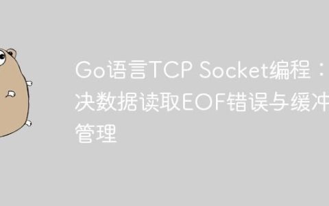 Go语言TCP Socket编程：解决数据读取EOF错误与缓冲区管理