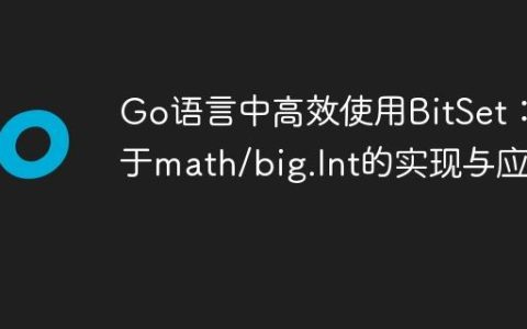 Go语言中高效使用BitSet：基于math/big.Int的实现与应用