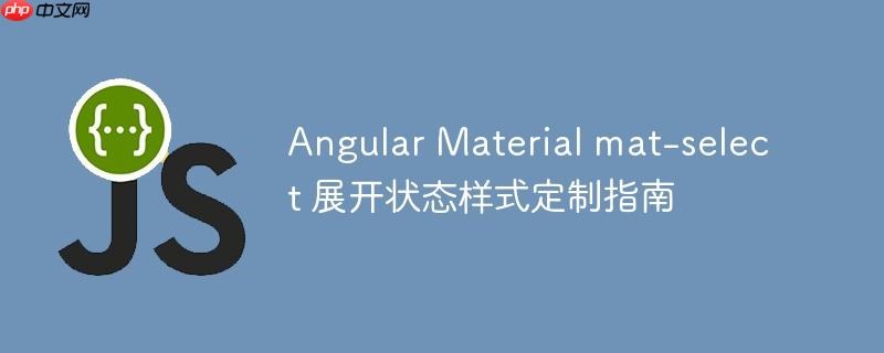 Angular Material mat-select 展开状态样式定制指南
